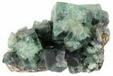 Fluorite Crystal Cluster - Rogerley Mine #132980-1